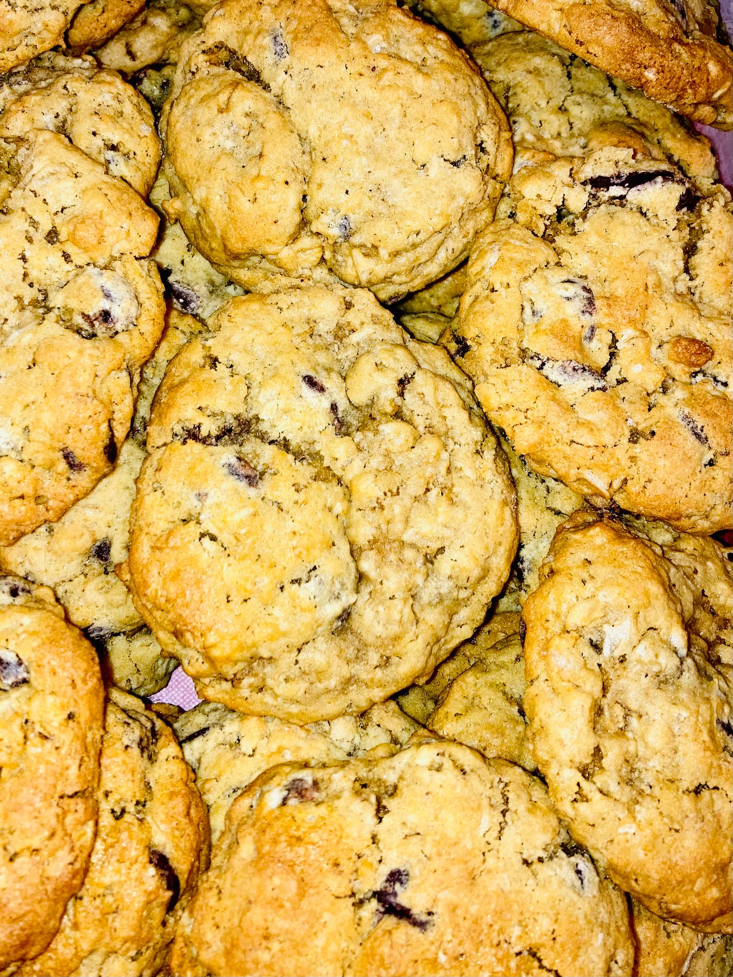 Bucket of Dark Chocolate Oat Cookies